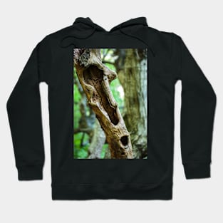 Dead tree in a young forest Hoodie